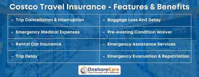 Costco Travel Insurance Review - OnShoreKare