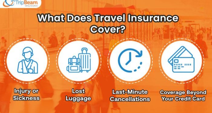 Travel Insurance 101: A Complete Guide To Hassle-Free Travel